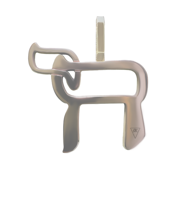 Collier Haï sur chaîne Argent